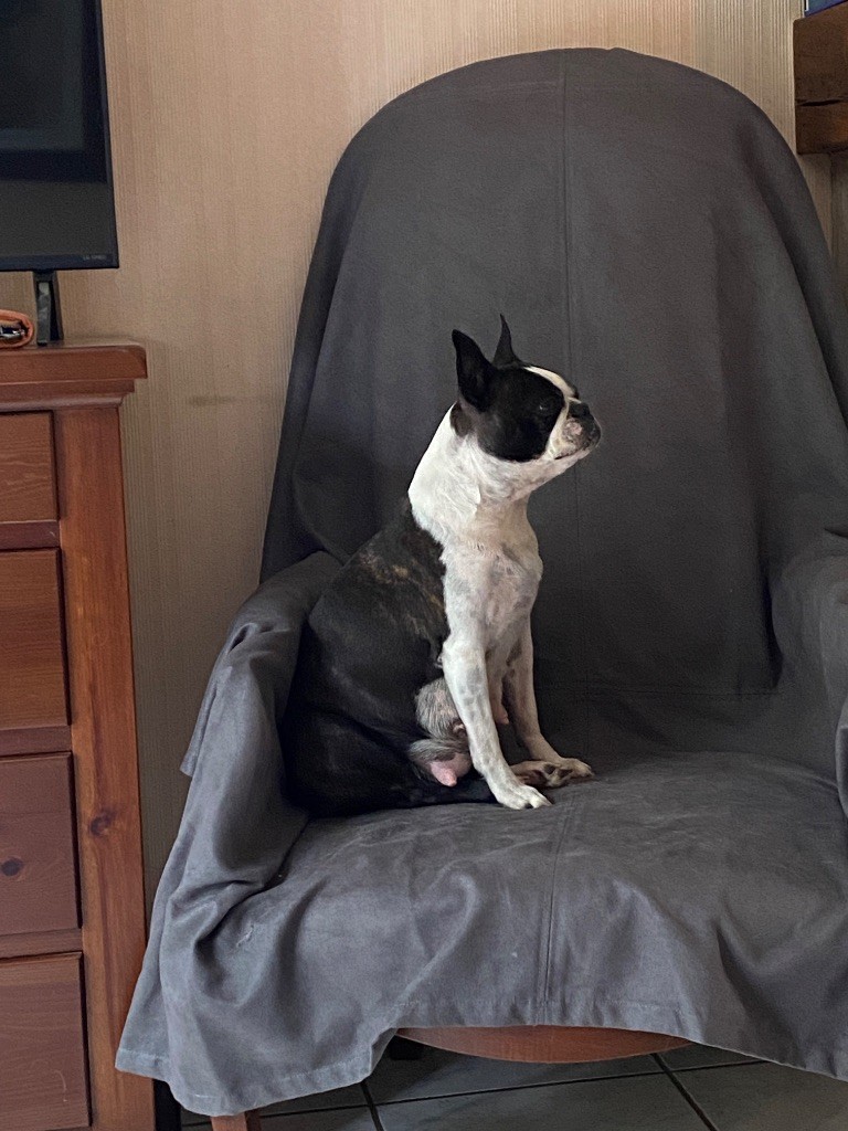 Bébé en route